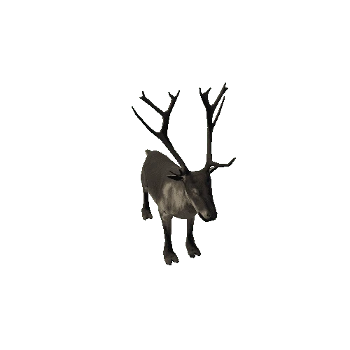 Reindeer_RM_FV_SLP (Fur2)